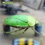 Animatronic Green Stinkbug