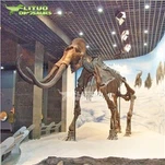 Mammoth Skeleton