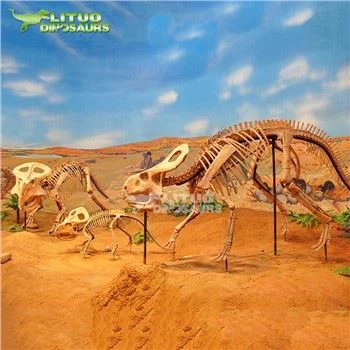 Protoceratops Fossil