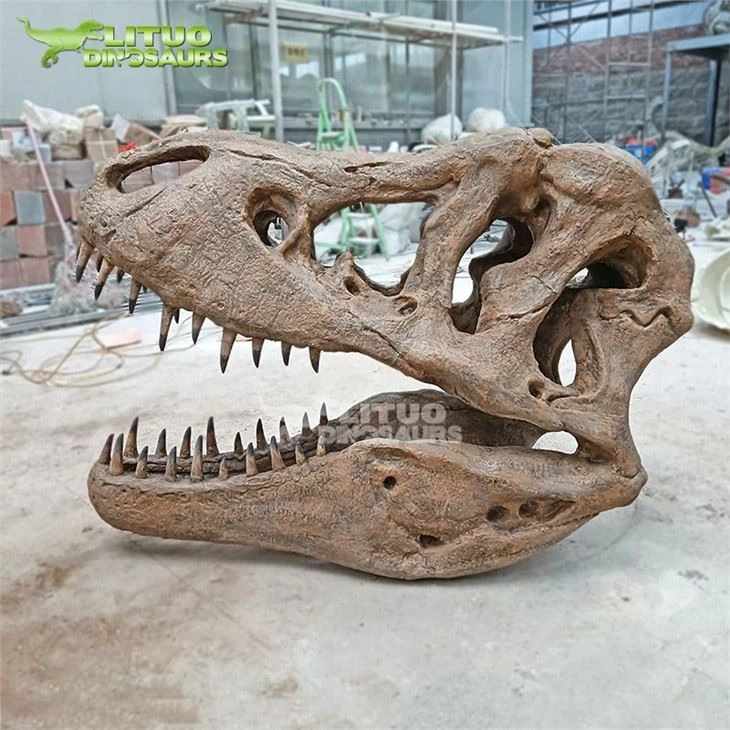 4Animal Skull(001)